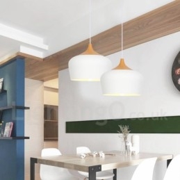 Modern, kortárs 1 fényes függőlámpa