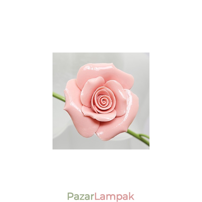 Valentin-nap A Rózsakert virágai és növények elnyelik a kupola fényét