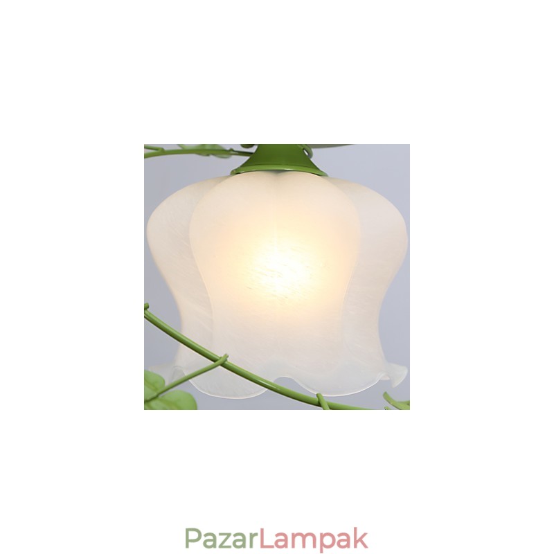 Valentin-nap A Rózsakert virágai és növények elnyelik a kupola fényét