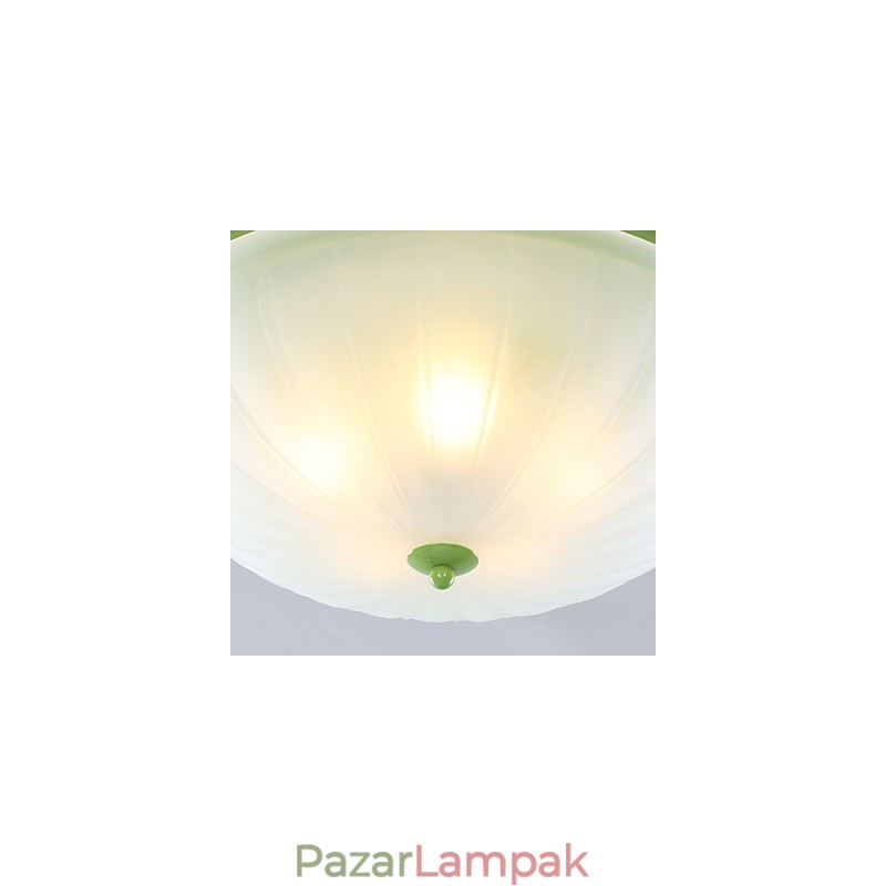 Valentin-napi kerti virágok és növények elnyelik a kupola fényét