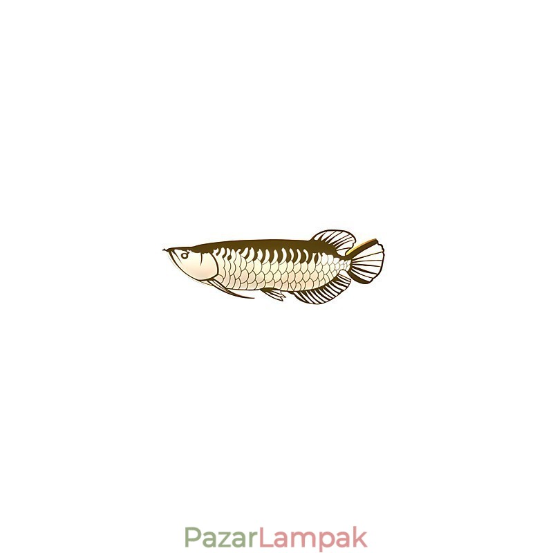 Modern fali lámpák hal forma Egyszerű stílus akril világítás nappali előszoba hálószoba szállodai szobák dekorációs világítás