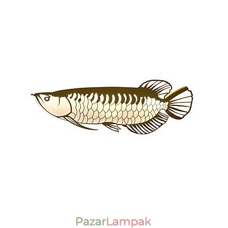 Modern fali lámpák hal forma Egyszerű stílus akril világítás nappali előszoba hálószoba szállodai szobák dekorációs világítás Modern fali lámpák hal forma Egyszerű stílus akril világítás nappali előszoba hálószoba szállodai szobák dekorációs világítás
