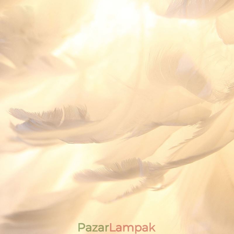 Kreatív tollas fali lámpa, dekoratív lámpa