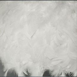 Hot Selling Dia Fashion Feather csillár Modern Light